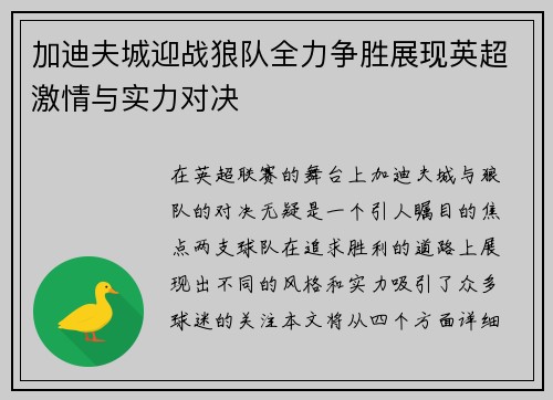 加迪夫城迎战狼队全力争胜展现英超激情与实力对决