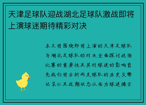 天津足球队迎战湖北足球队激战即将上演球迷期待精彩对决